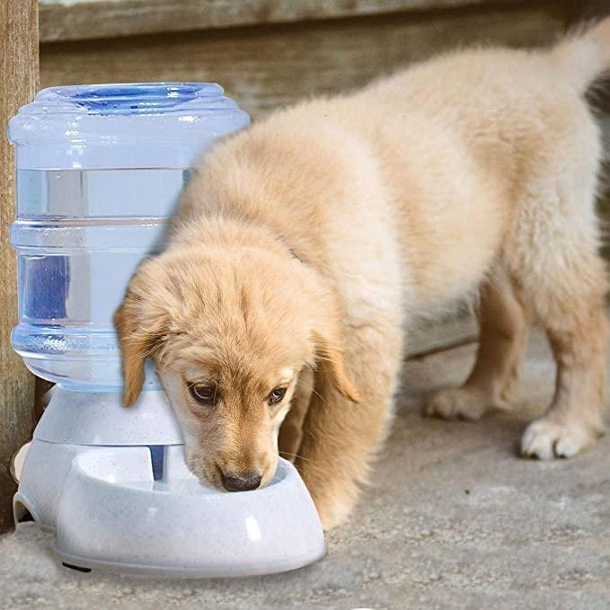 Pet Automatic Water Dispenser